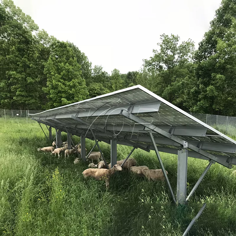 Solárne panely pre farmu: Pomôžte energetickej udržateľnosti v poľnohospodárstve na vyššiu úroveň!
