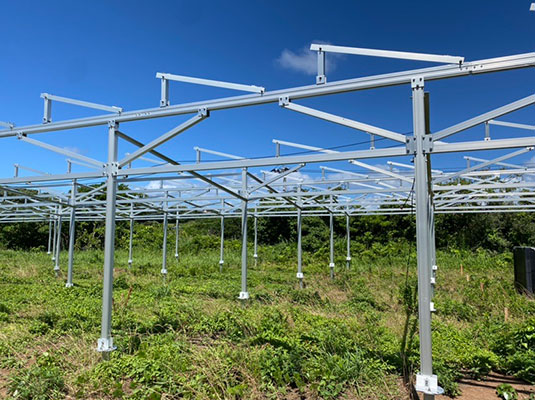 Japonský projekt – Farma